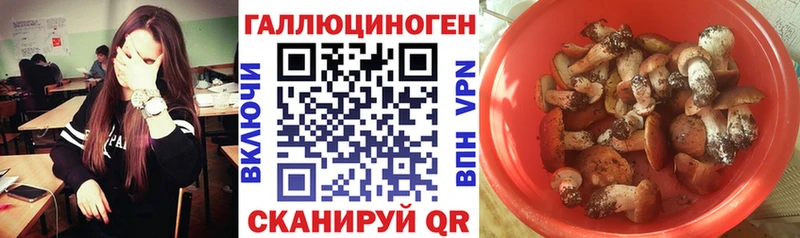 KRAKEN tor  Константиновск  Галлюциногенные грибы мухоморы 